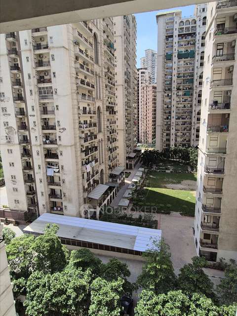 3 BHK Flat In Antriksh Golf View 2 for Rent  In Sector 78