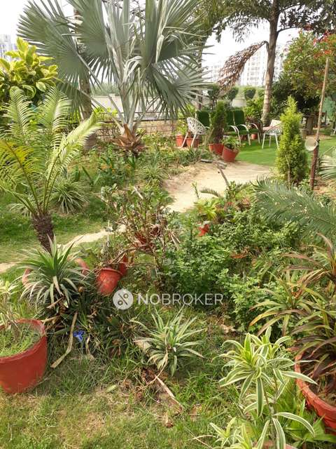 3 BHK Flat In Omaxe Nri City  For Sale  In Omega Ii