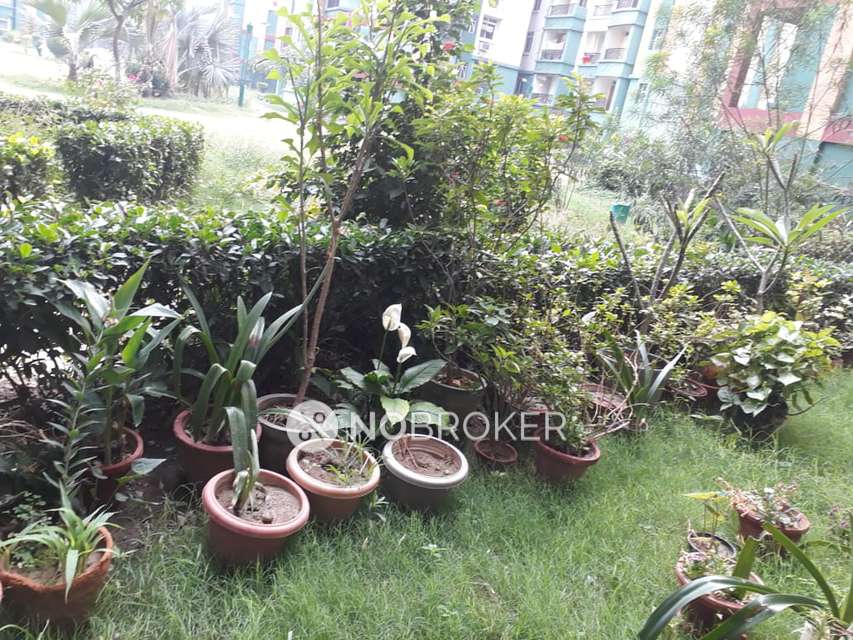 3 BHK Flat In Omaxe Nri City  For Sale  In Omega Ii