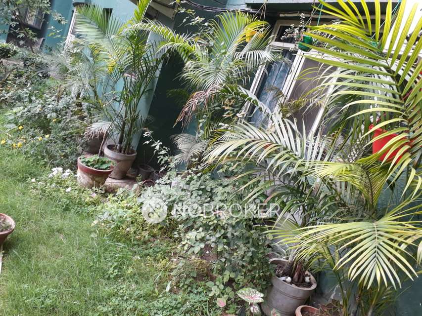 3 BHK Flat In Omaxe Nri City  For Sale  In Omega Ii