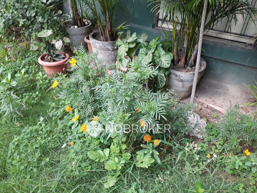 3 BHK Flat In Omaxe Nri City  For Sale  In Omega Ii