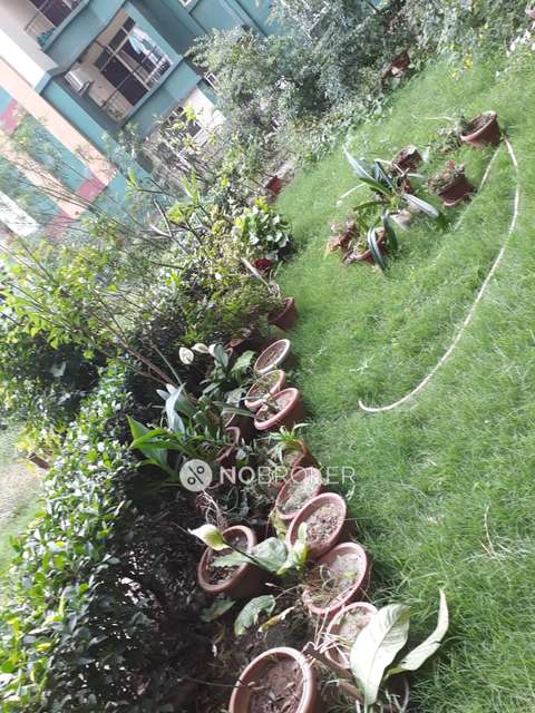 3 BHK Flat In Omaxe Nri City  For Sale  In Omega Ii