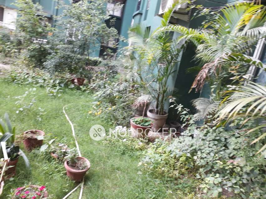 3 BHK Flat In Omaxe Nri City  For Sale  In Omega Ii