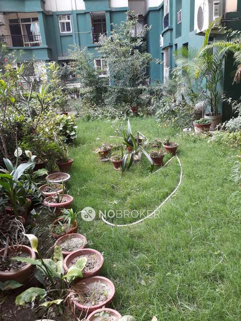 3 BHK Flat In Omaxe Nri City  For Sale  In Omega Ii