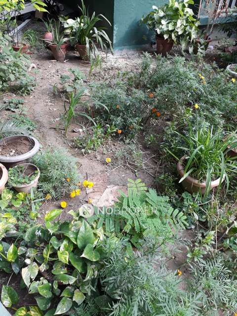 3 BHK Flat In Omaxe Nri City  For Sale  In Omega Ii