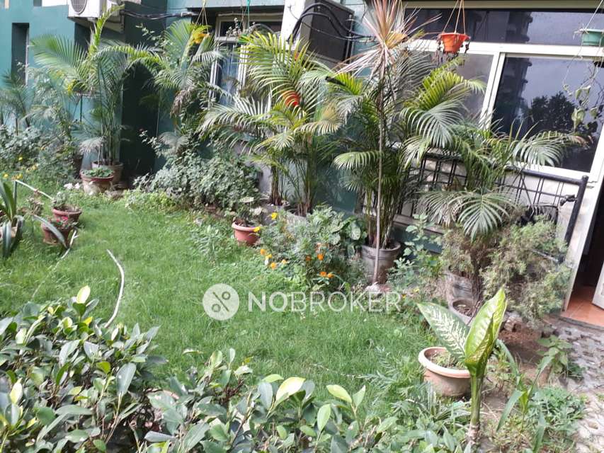 3 BHK Flat In Omaxe Nri City  For Sale  In Omega Ii