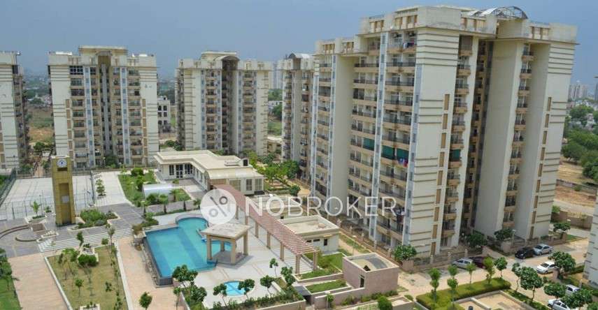 3 BHK Flat In Amrapali Terrace Homes For Sale  In Noida Extension
