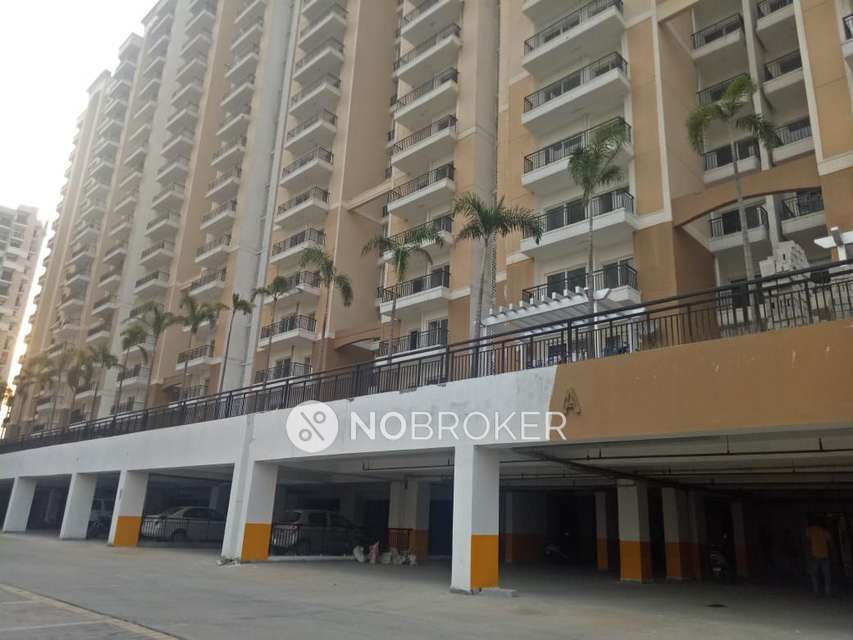 3 BHK Flat In Oasis Venetia Heights For Sale  In Surajpur