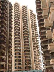 2 BHK Flat In 16th Parkview Gaur Yamuna City For Sale  In Dhanpura