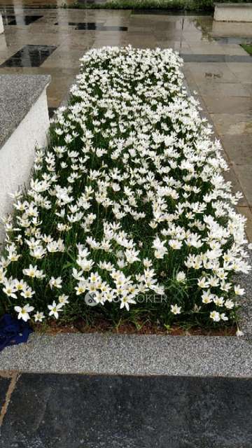 2 BHK Flat In Platinum  Apartment For Sale  In Peeranchuruvu 