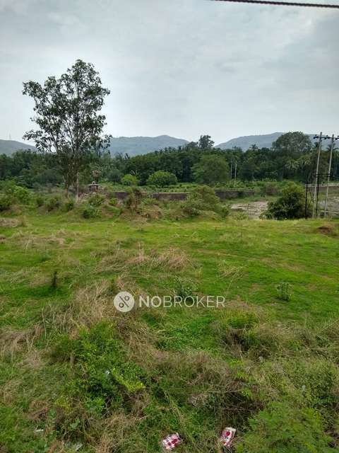 1 BHK Flat In Avanya Dynamics For Sale  In Dahisar East