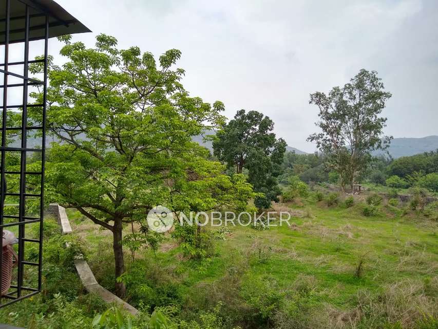 1 BHK Flat In Avanya Dynamics For Sale  In Dahisar East