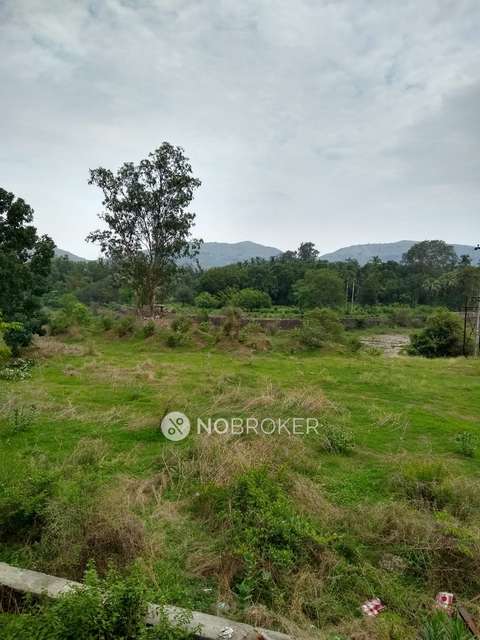 1 BHK Flat In Avanya Dynamics For Sale  In Dahisar East