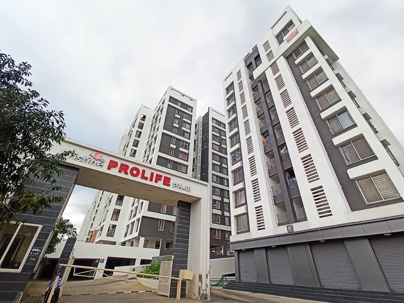 Pristine Prolife Phase 3