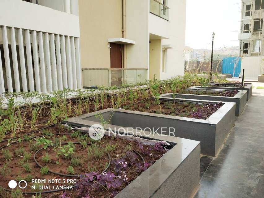 2 BHK Flat In Yashwin Hinjawadi for Rent In Hinjewadi