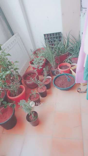 3 BHK Flat In Ds-max Silver Nest For Sale  In Vidyaranyapura