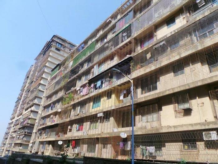 Royal Palms Garden View