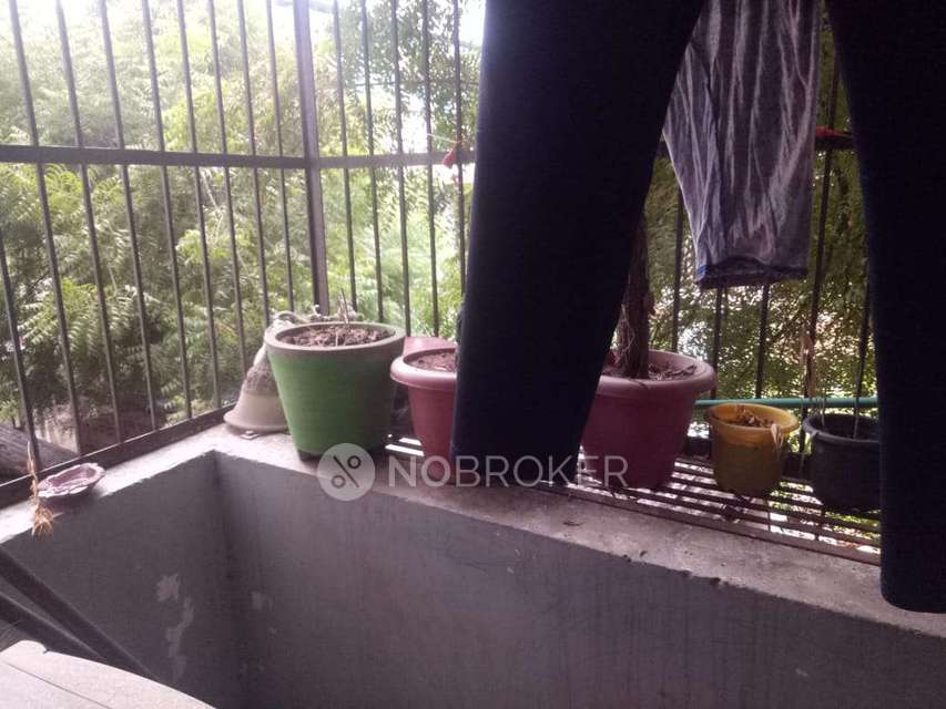 4 BHK Flat In Ip3 For Sale  In Sector 49