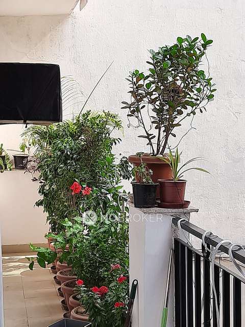 2 BHK Flat In Aashiyana Apartments For Sale  In Patel Nagar