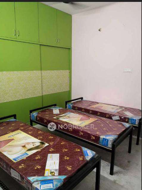 PG for Girls in Padmarao Nagar