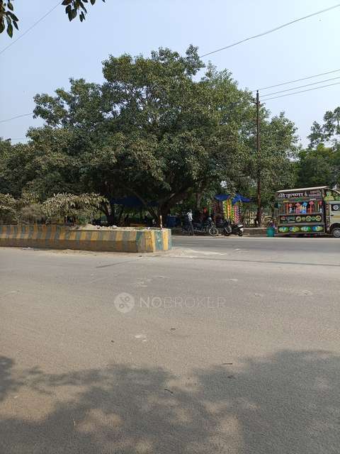 3 BHK Flat In Stellar Greens For Sale  In Sector 44