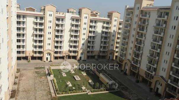 3 BHK Flat In Emaar Palm Hills  For Sale  In Sector 77