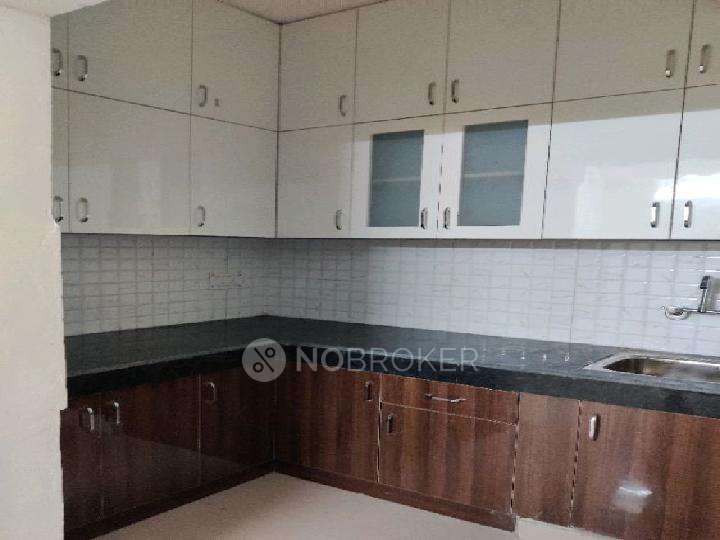 2 BHK Flat In Devika Gold Homz, Bisrakh Jalalpur for Rent  In Sector 1