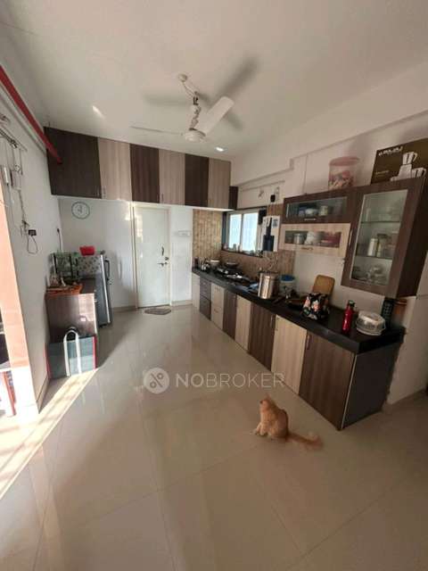 2 BHK Flat In Mhada Towers  for Rent  In Pimpri-chinchwad
