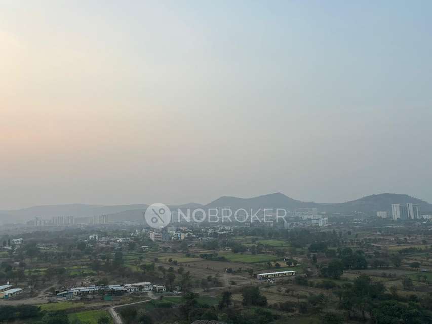 2 BHK Flat In Godrej 24, Hinjawadi for Rent  In Hinjawadi