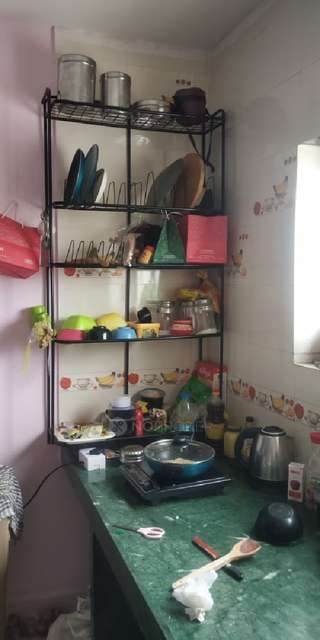 1 RK Flat In Sankalp Vihar Apartment for Rent  In Narhe