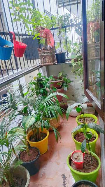 3 BHK House For Sale  In Pratap Vihar