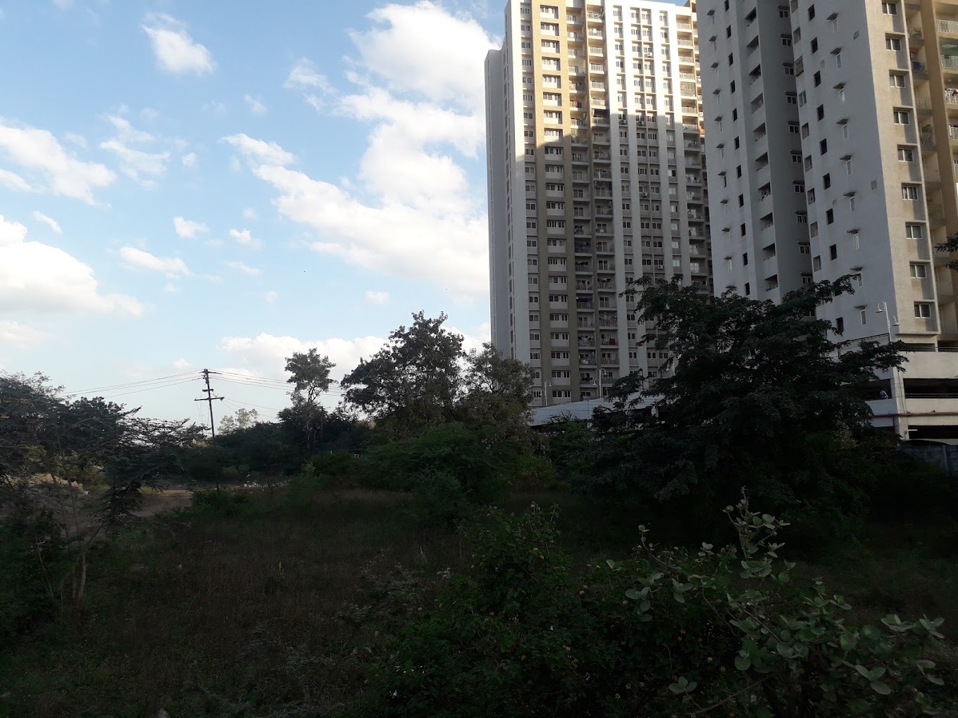 Godrej Woodscapes
