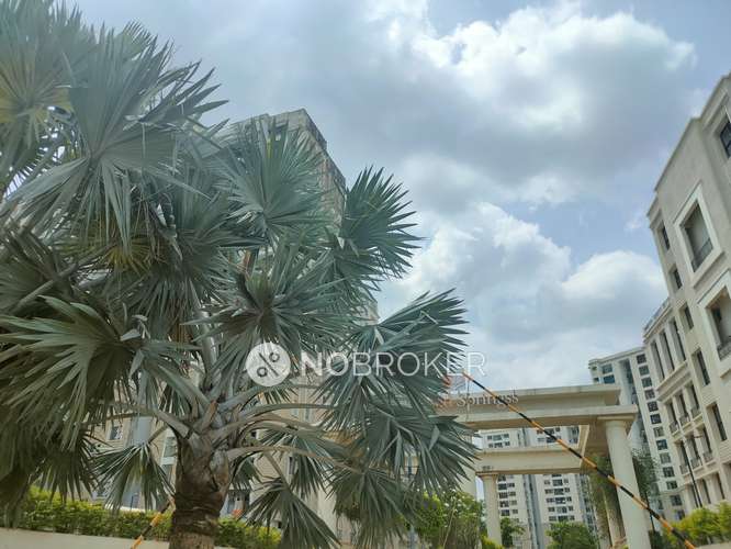 2 BHK Flat In Alliance Orchid Springs For Sale  In Alliance Orchid Springs