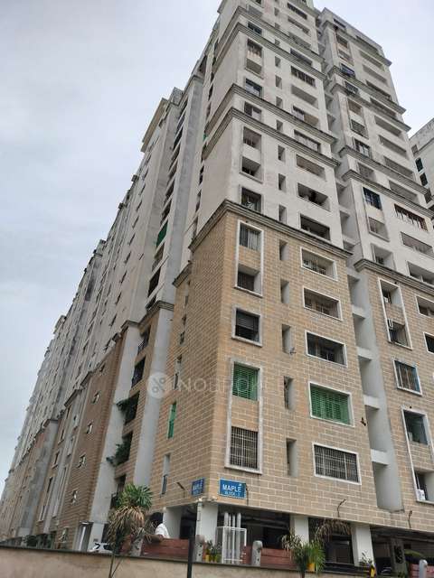 2 BHK Flat In Alliance Orchid Springs For Sale  In Alliance Orchid Springs