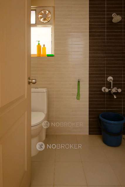 2 BHK Flat In Alliance Orchid Springs For Sale  In Alliance Orchid Springs