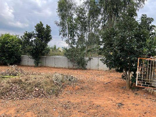 Plot For Sale  In Kannuru