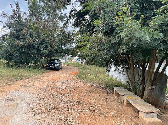 Plot For Sale  In Kannuru