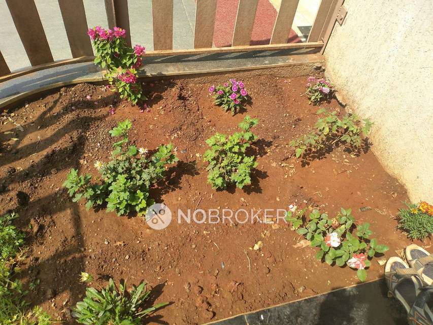 2 BHK Flat In Blue Ridge - Paranjpe Schemes For Sale  In Hinjawadi