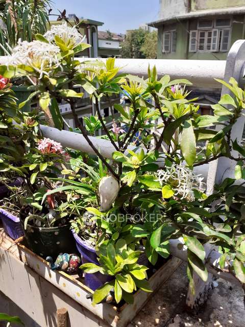 1 BHK Flat In Mangaldas Building For Sale  In Kalbadevi