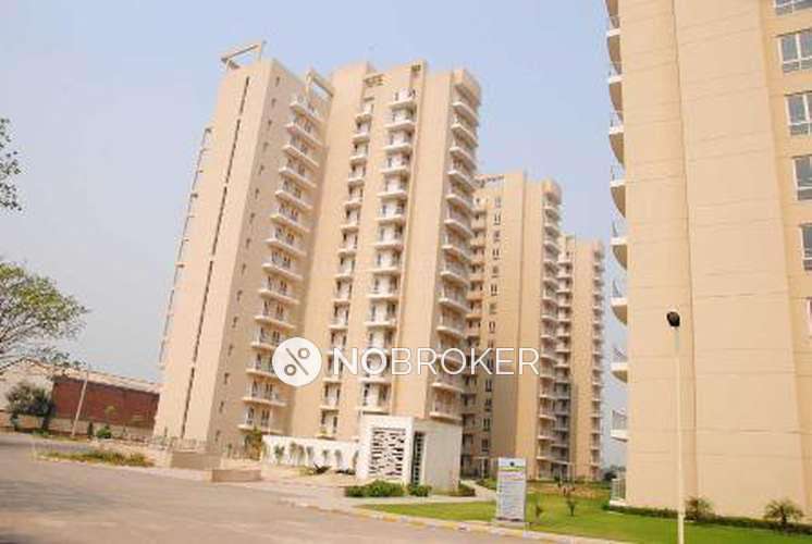 3 BHK Flat In Ozone Park Apartments for Rent  In Sector 86