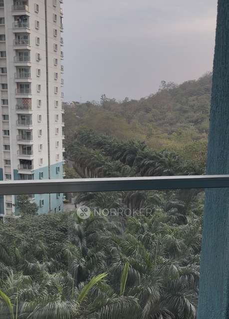 2 BHK Flat In Megapolis Serenity for Rent  In Hinjawadi