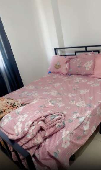 2 BHK Flat In Kolte Patil Ivy Nia for Rent  In Wagholi