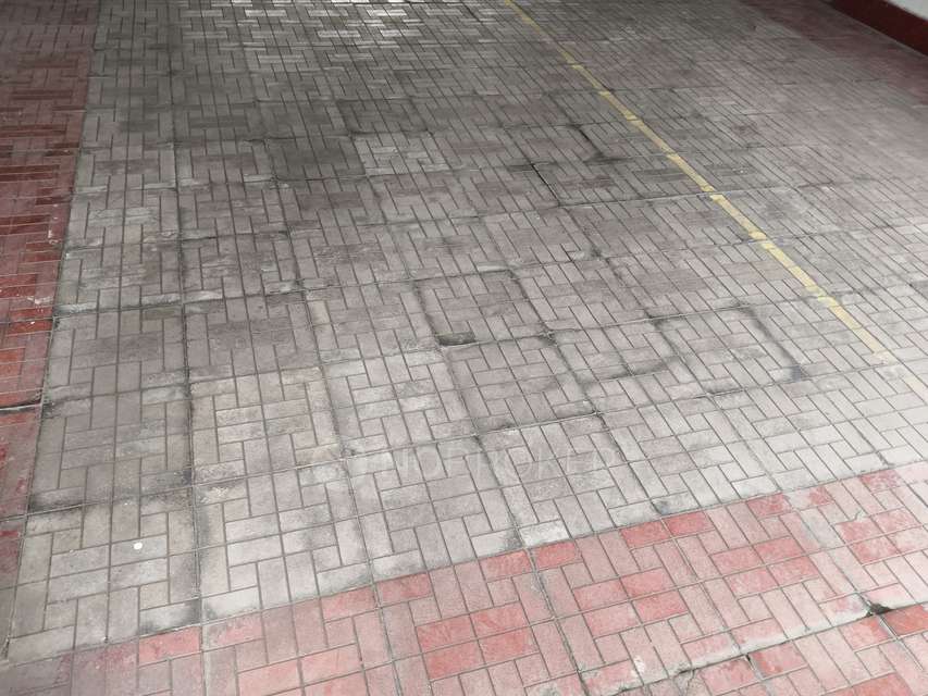 2 BHK Flat In Hazel One for Rent  In Hinjawadi