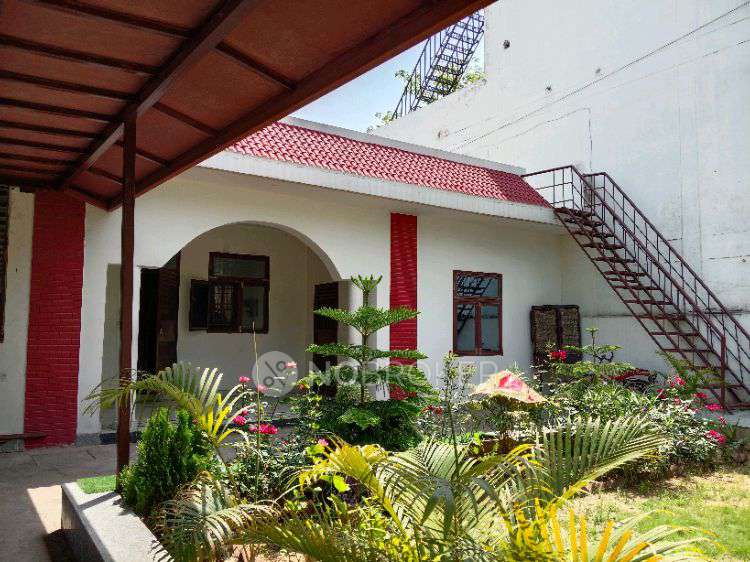 1 BHK Flat In Sigma-2 for Rent  In Sigma Ii