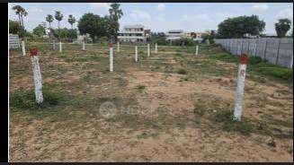 Plot For Sale  In Amberpet