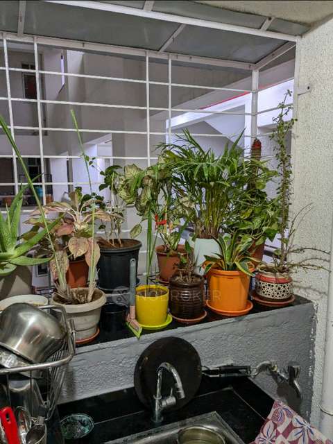 2 BHK Flat In Little Earth Masulkar City for Rent  In Mamurdi