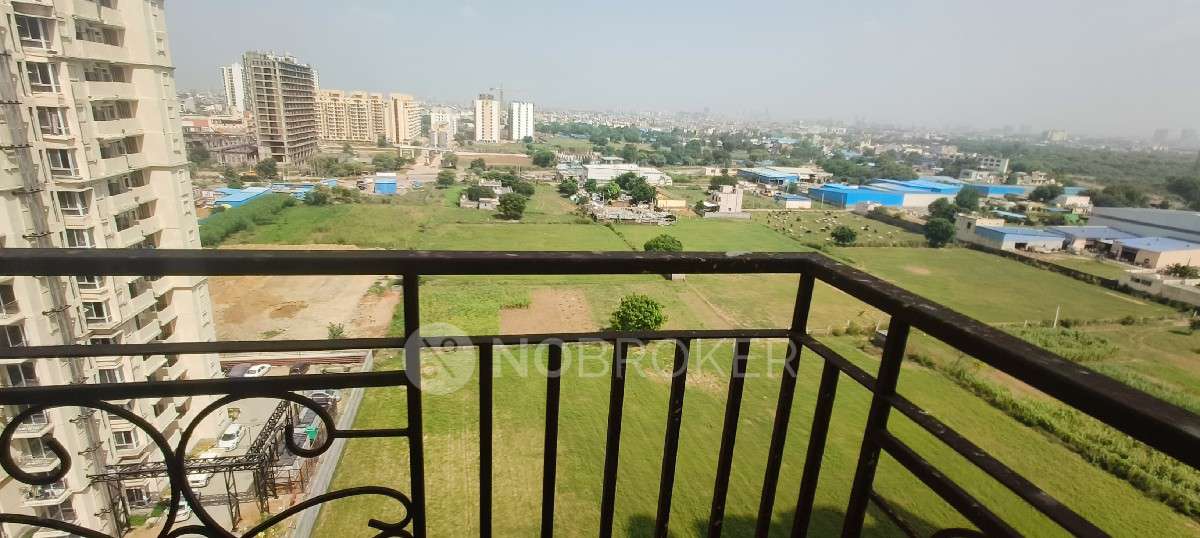 2 BHK Flat In Signature Global The Millennia for Rent  In Sector 37d