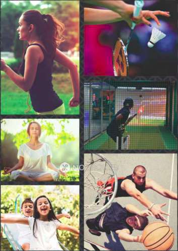 4+ BHK Flat In Alpine Aigin Royal For Sale  In Sector 1 