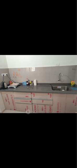 2 BHK Flat In Palm Spring for Rent  In Wakad