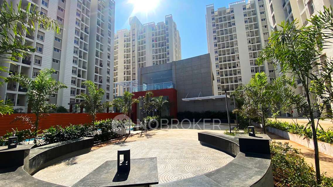 2 BHK Flat In Vtp Purvanchal for Rent  In Wagholi